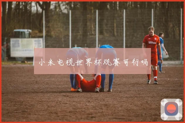 小米电视世界杯观赛可行吗