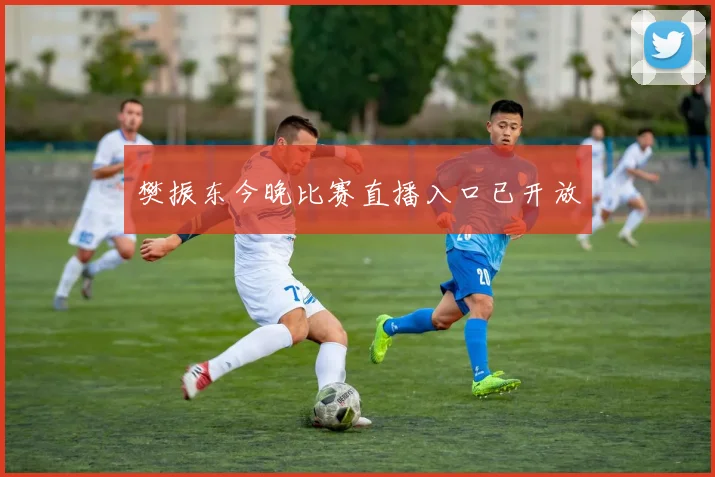 樊振东今晚比赛直播入口已开放