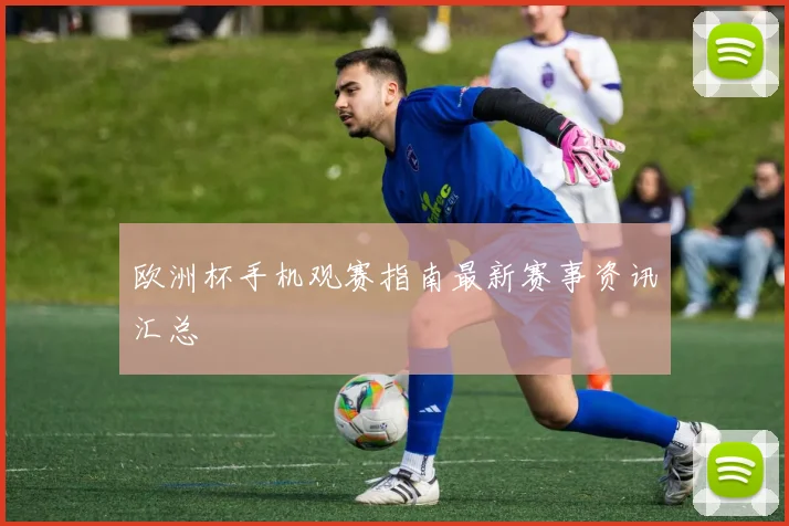 欧洲杯手机观赛指南最新赛事资讯汇总